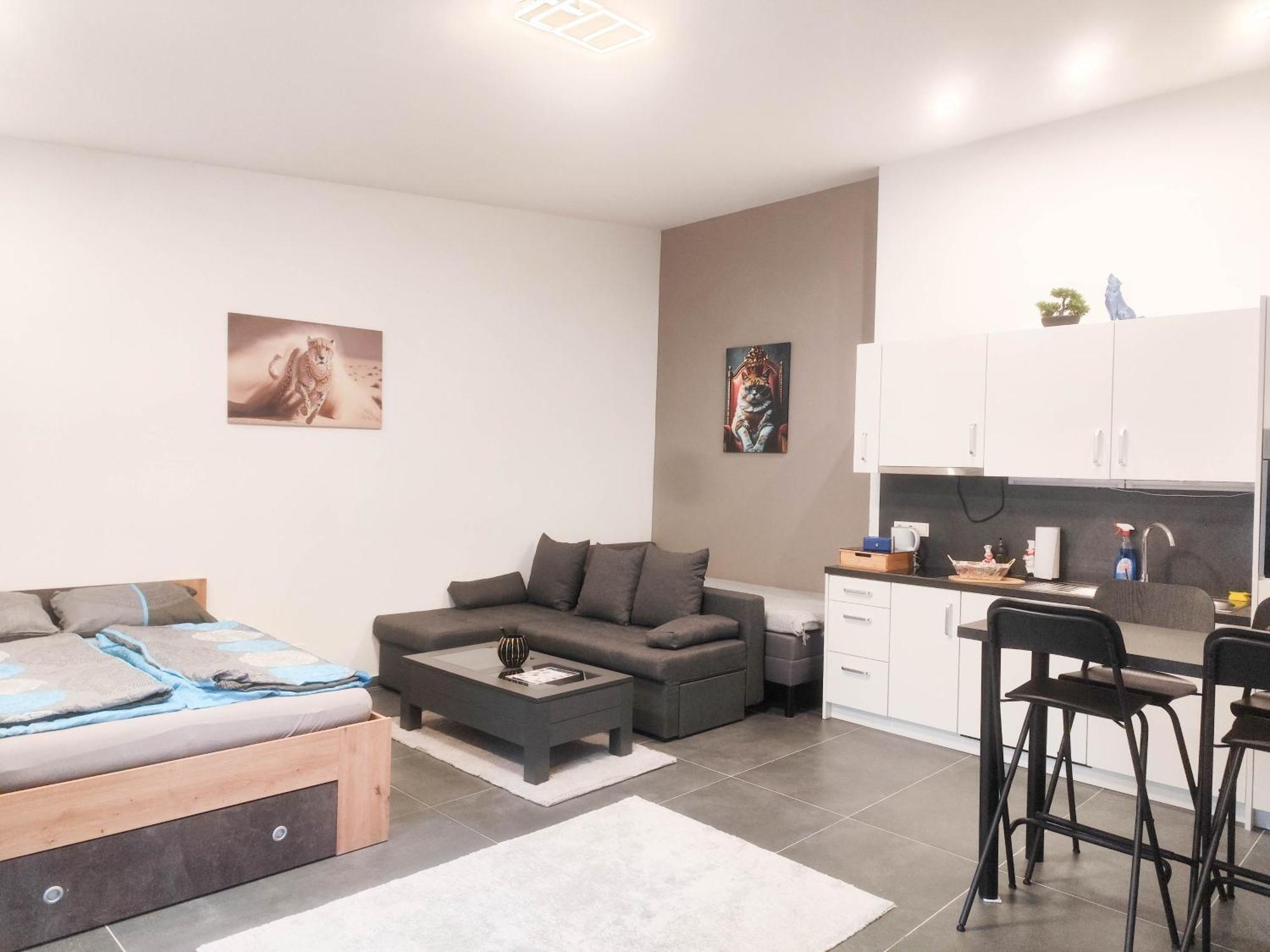 Cozy Apartments In Central Location With Free Parking 维也纳 外观 照片