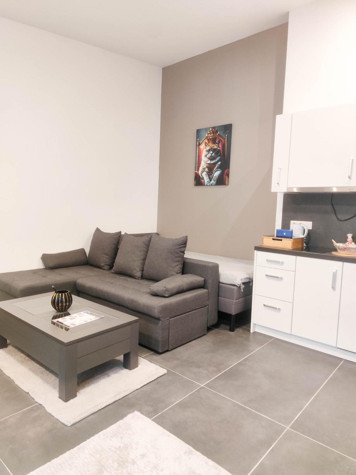Cozy Apartments In Central Location With Free Parking 维也纳 外观 照片