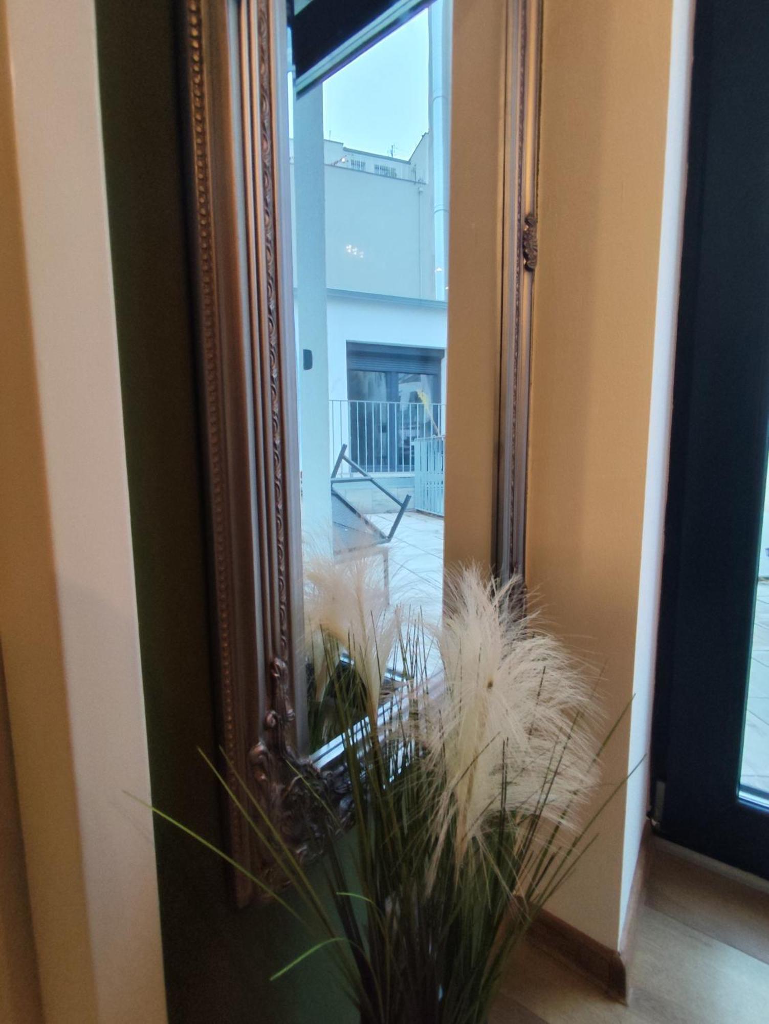 Cozy Apartments In Central Location With Free Parking 维也纳 外观 照片